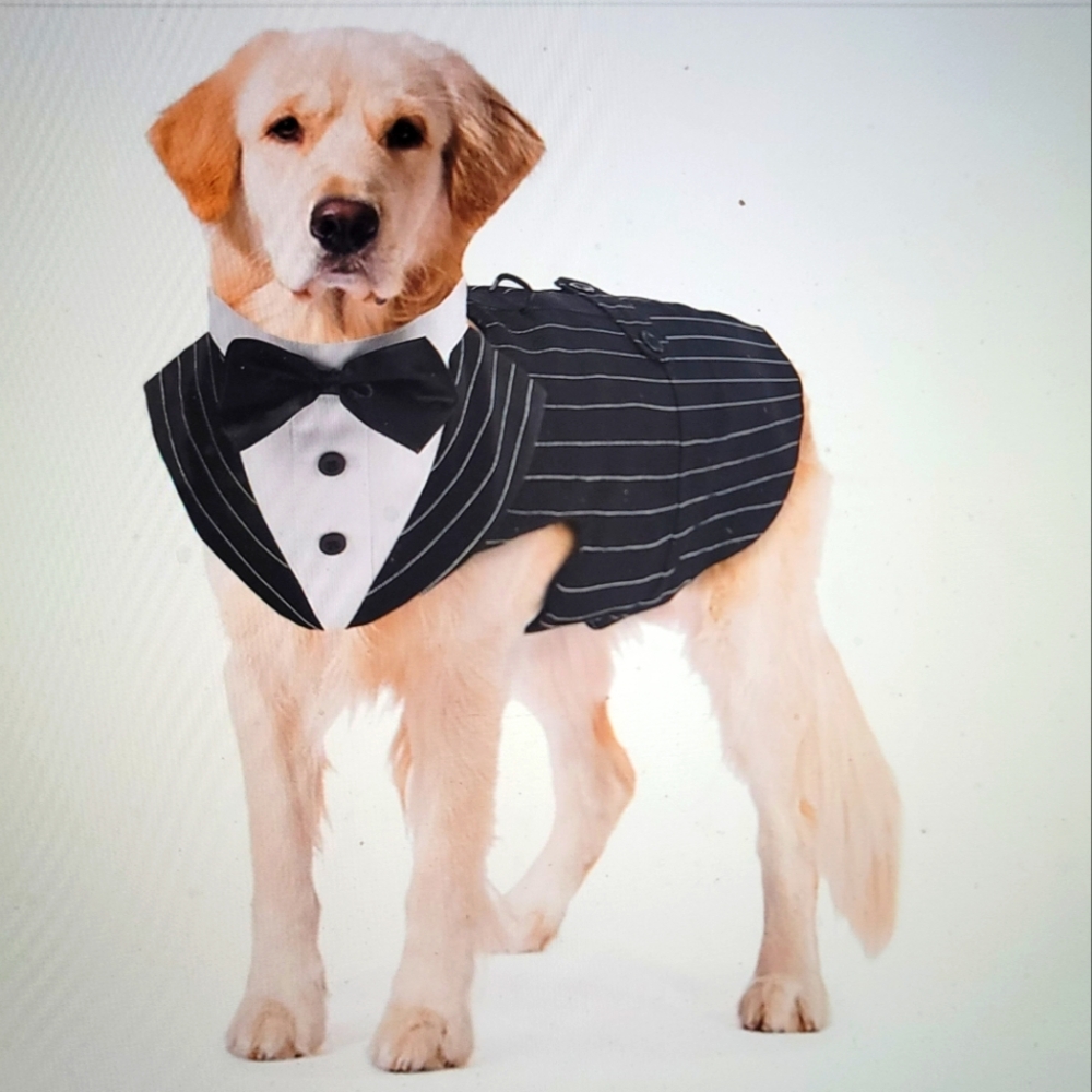 Elegant Black and White Dog Tuxedo